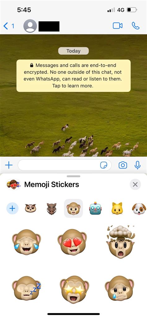 How to Send Memoji and Animoji as WhatsApp Stickers